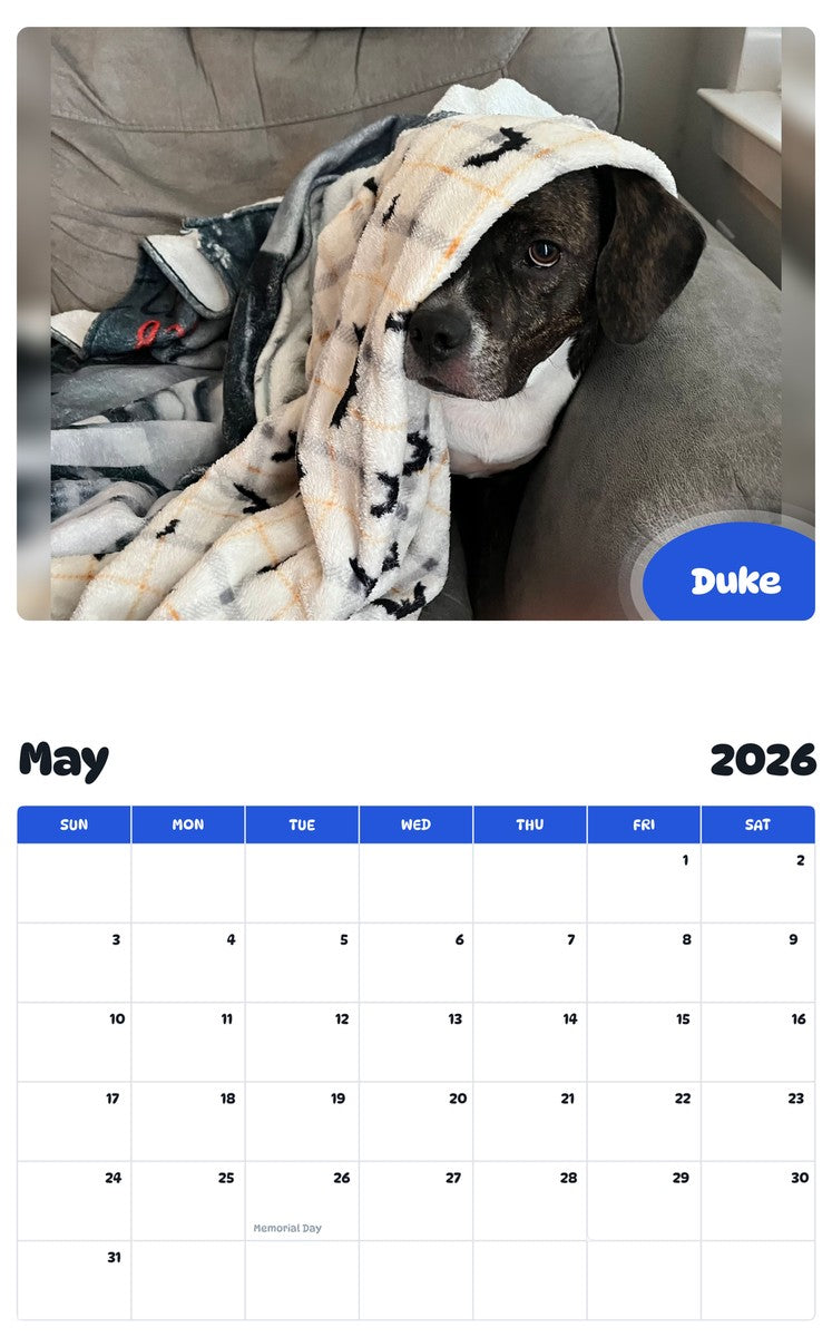 2026 - 2027 Duke - Pawidols Pet Calendar