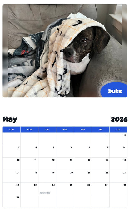 2026 - 2027 Duke - Pawidols Pet Calendar