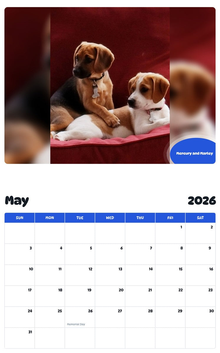 2026 - 2027 Mercury and Marley - Pawidols Pet Calendar