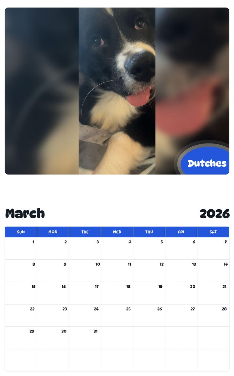 November 2025 - October 2026 Dutches - Pawidols Pet Calendar