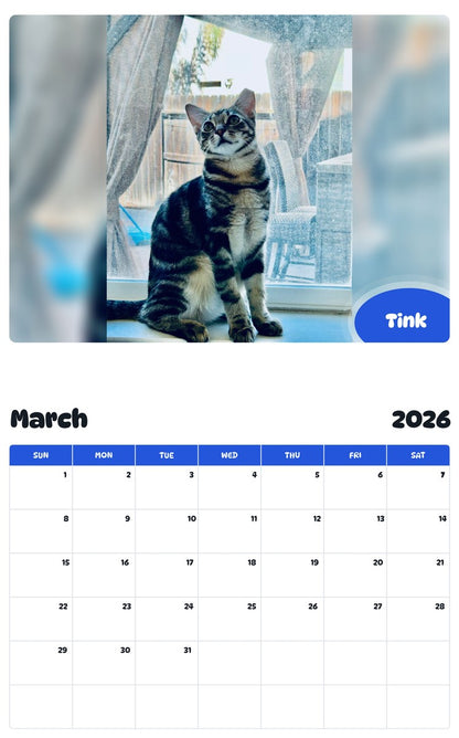 November 2025 - October 2026 Tink - Pawidols Pet Calendar