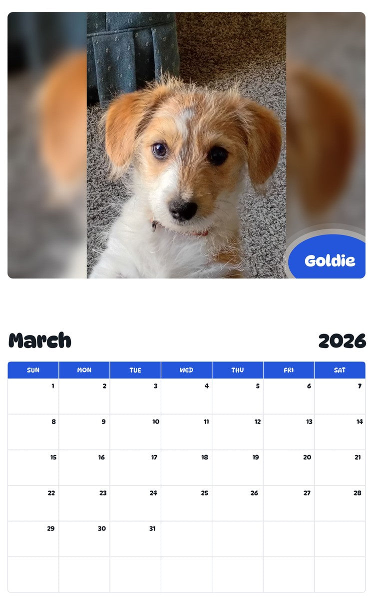 November 2025 - October 2026 Goldie - Pawidols Pet Calendar