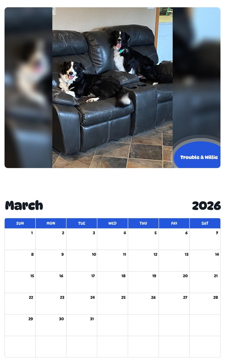 November 2025 - October 2026 Trouble & Willie - Pawidols Pet Calendar