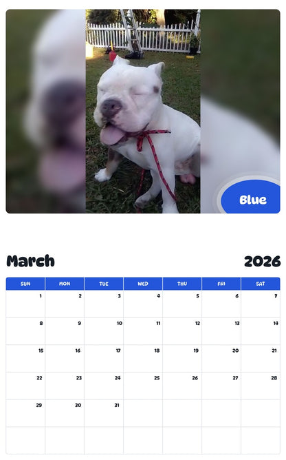 November 2025 - October 2026 Blue - Pawidols Pet Calendar