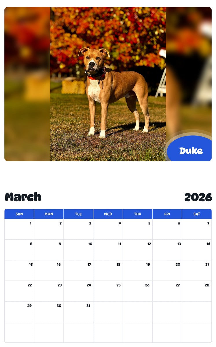 November 2025 - October 2026 Duke - Pawidols Pet Calendar