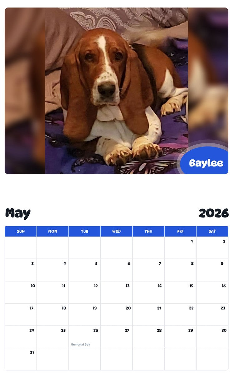 2026 - 2027 Baylee - Pawidols Pet Calendar