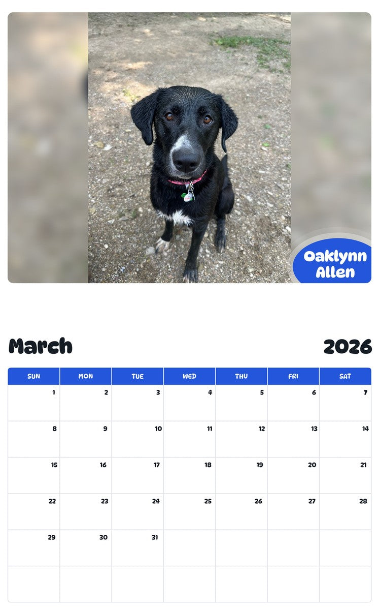 November 2025 - October 2026 Oaklynn Allen - Pawidols Pet Calendar