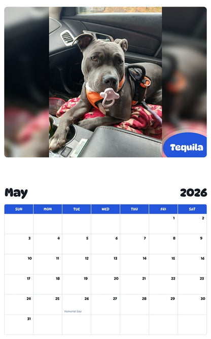 2026 - 2027 Tequila - Pawidols Pet Calendar