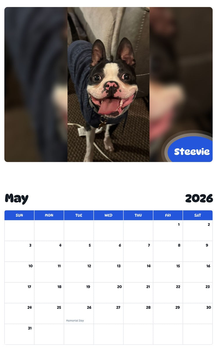 2026 - 2027 Steevie - Pawidols Pet Calendar