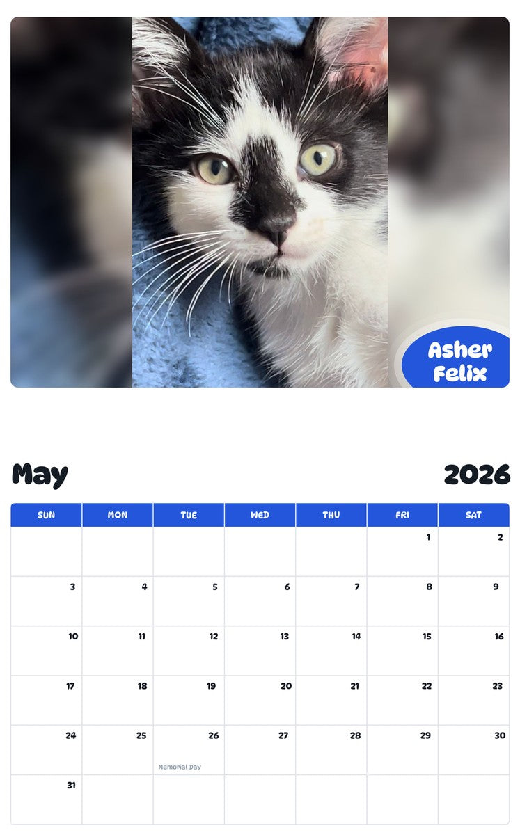 2026 - 2027 Asher Felix - Pawidols Pet Calendar