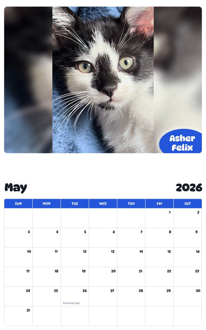 2026 - 2027 Asher Felix - Pawidols Pet Calendar