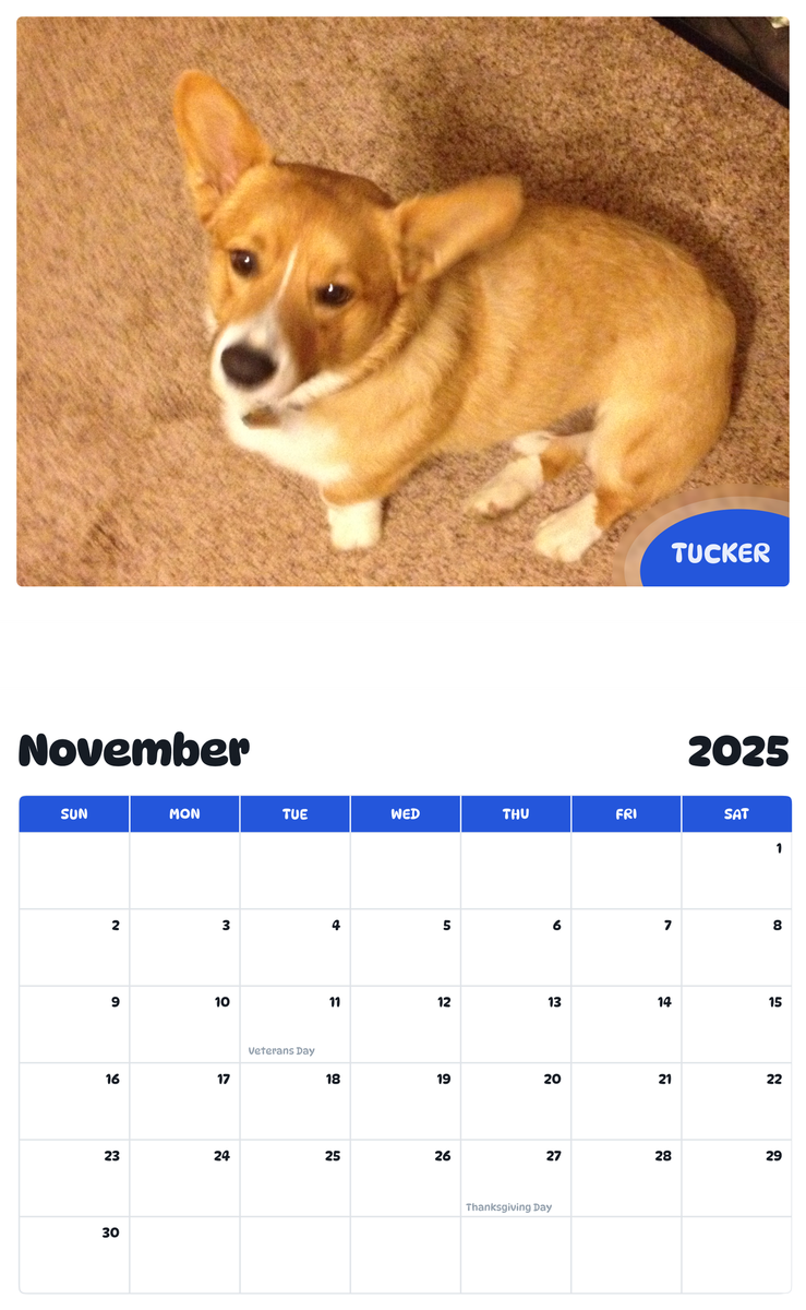 July 2025 - June 2026 Tucker - Pawidols Pet Calendar