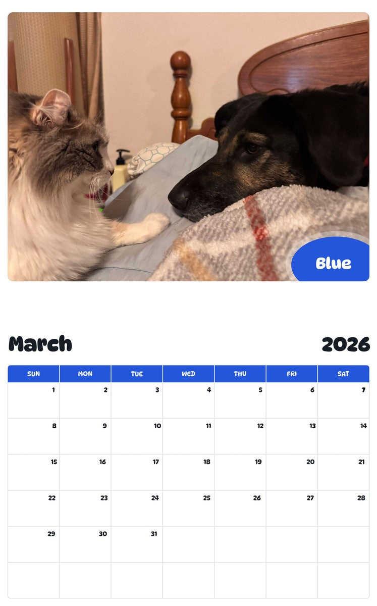 November 2025 - October 2026 Blue - Pawidols Pet Calendar