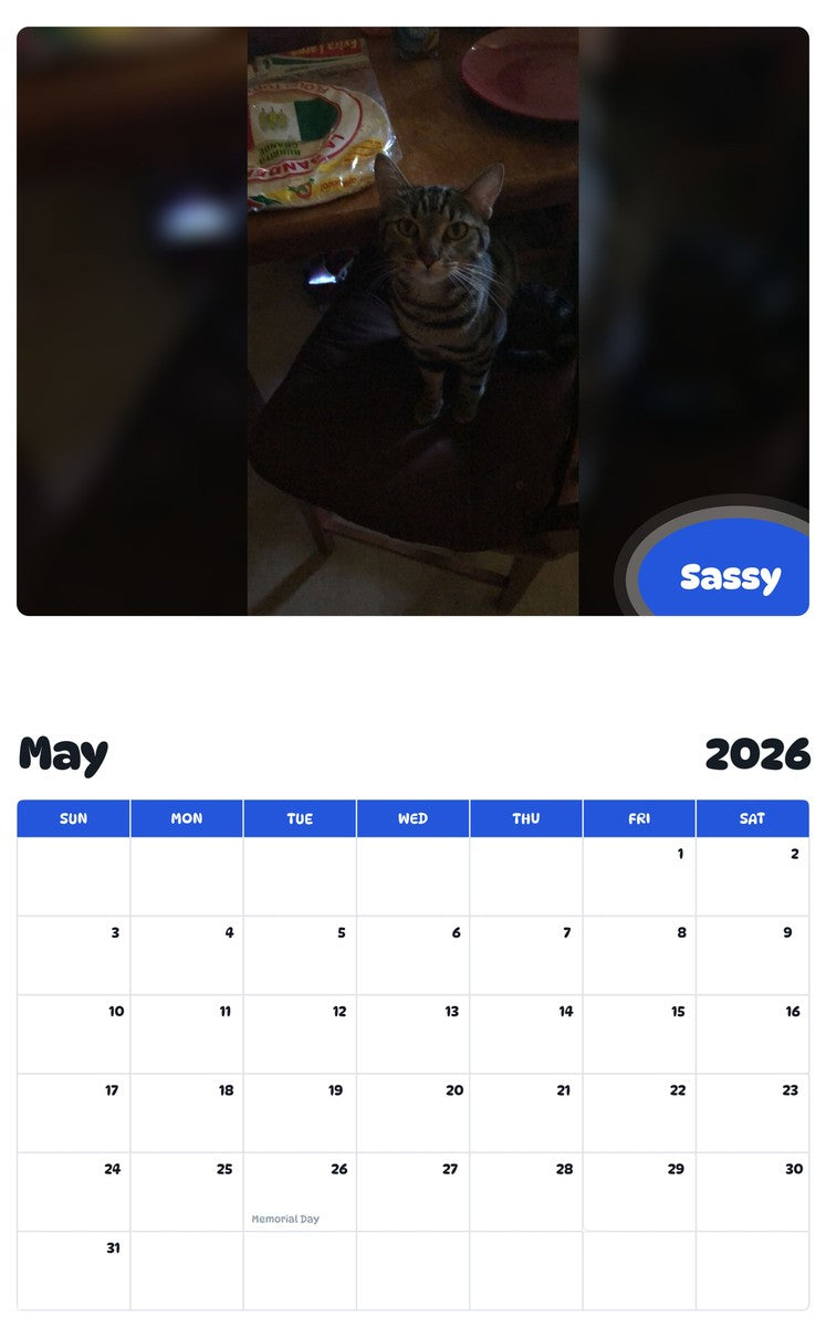 2026 - 2027 Sassy - Pawidols Pet Calendar