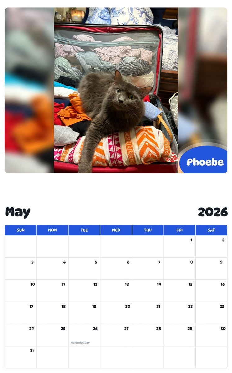 2026 - 2027 Phoebe - Pawidols Pet Calendar