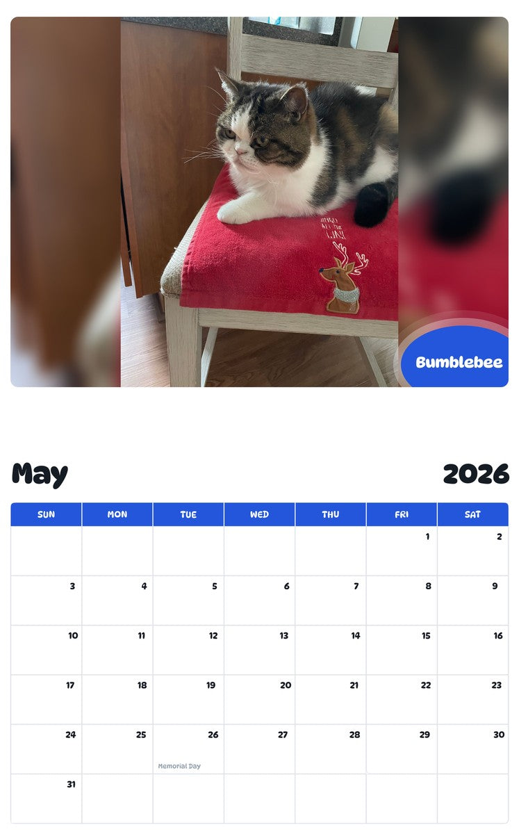 2026 - 2027 Bumblebee - Pawidols Pet Calendar