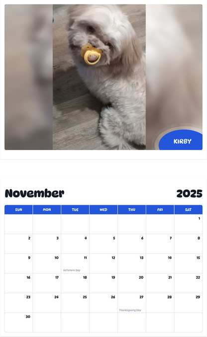 July 2025 - June 2026 Kirby - Pawidols Pet Calendar