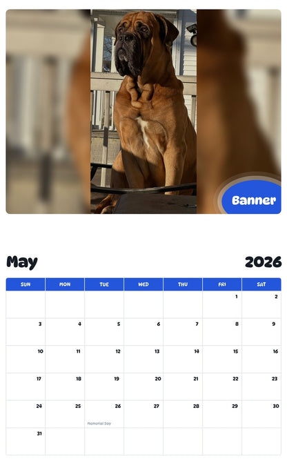 2026 - 2027 Banner - Pawidols Pet Calendar