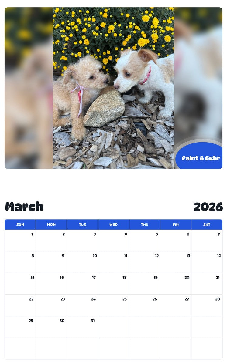 November 2025 - October 2026 Paint & Behr - Pawidols Pet Calendar