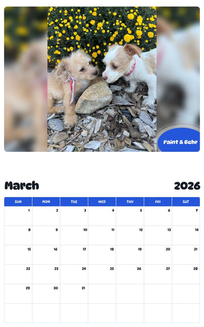 November 2025 - October 2026 Paint & Behr - Pawidols Pet Calendar