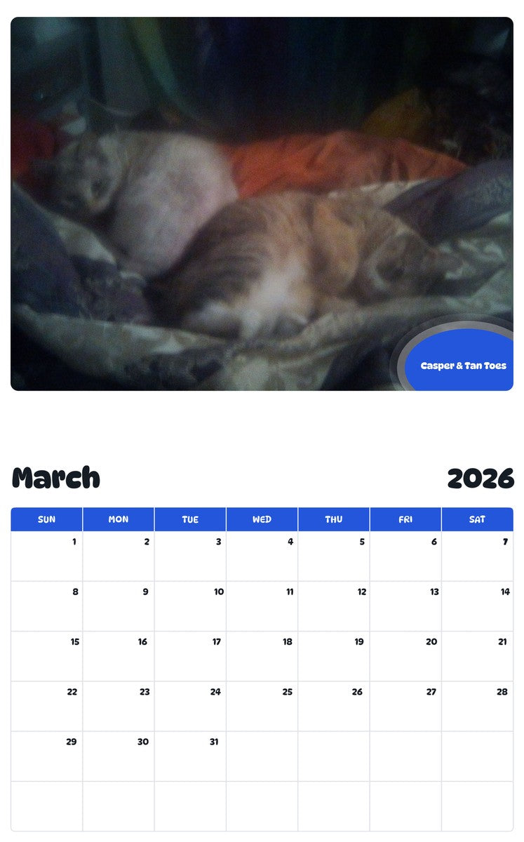 November 2025 - October 2026 Casper & Tan Toes - Pawidols Pet Calendar