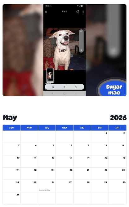 2026 - 2027 Sugar mae - Pawidols Pet Calendar