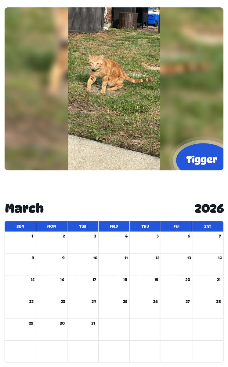November 2025 - October 2026 Tigger - Pawidols Pet Calendar