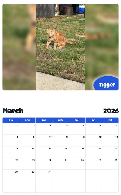 November 2025 - October 2026 Tigger - Pawidols Pet Calendar