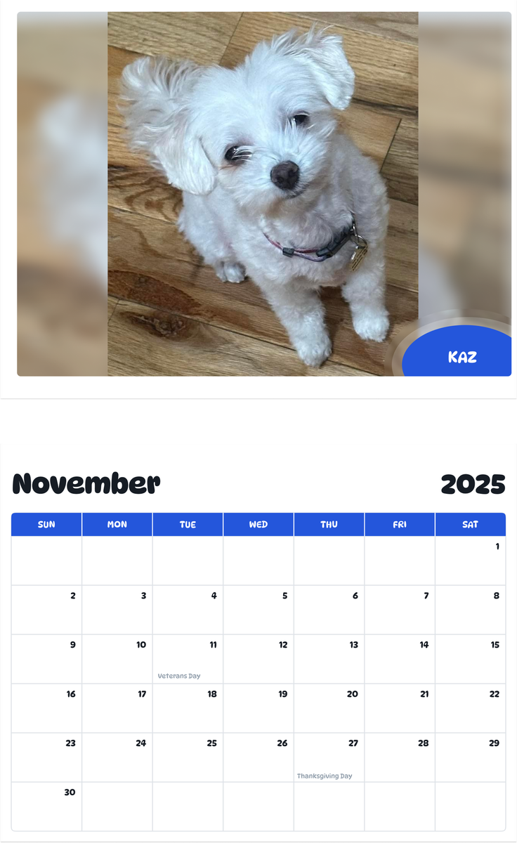 July 2025 - June 2026 Kaz - Pawidols Pet Calendar