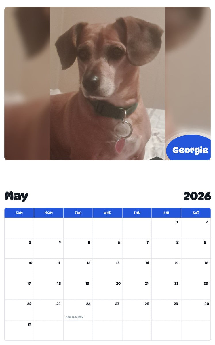 2026 - 2027 Georgie - Pawidols Pet Calendar