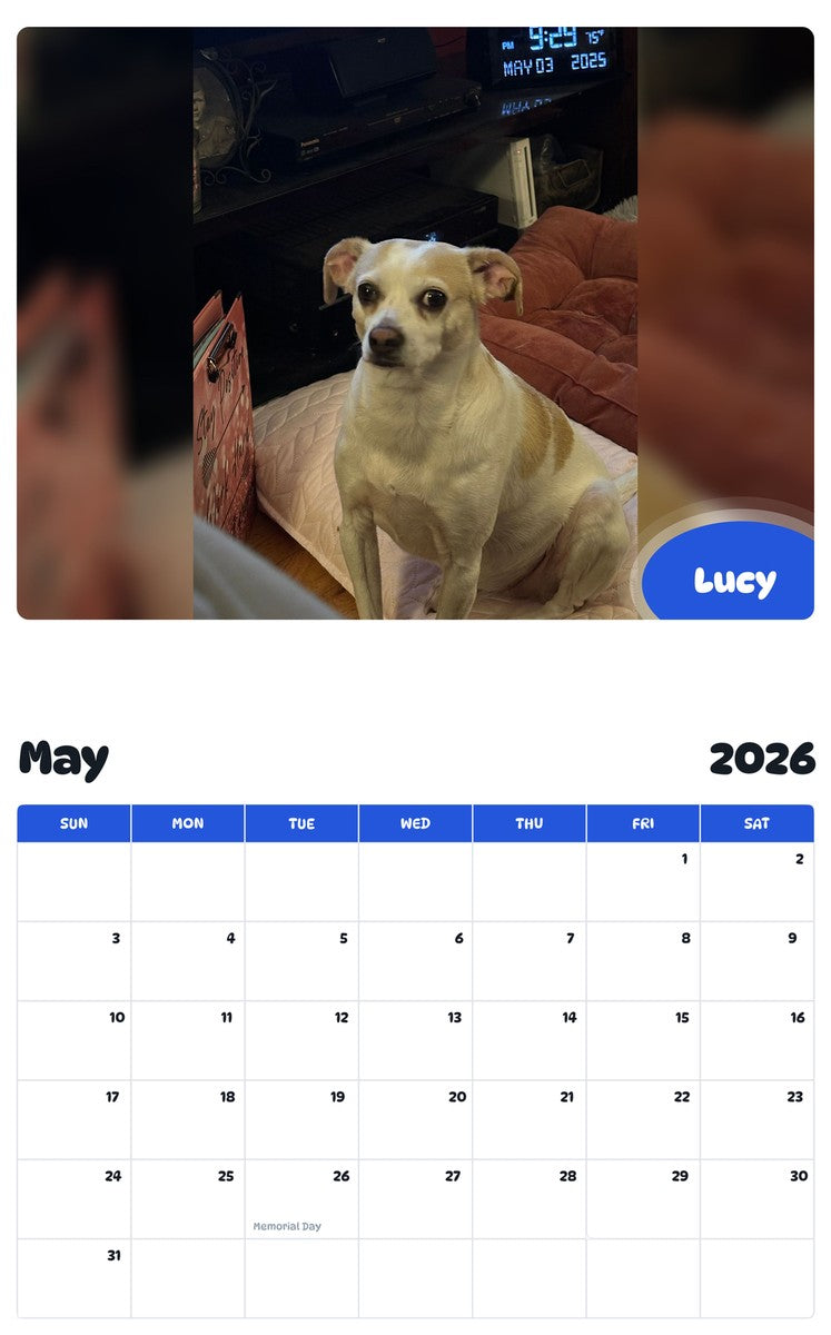 2026 - 2027 Lucy - Pawidols Pet Calendar