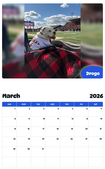 November 2025 - October 2026 Drogo - Pawidols Pet Calendar