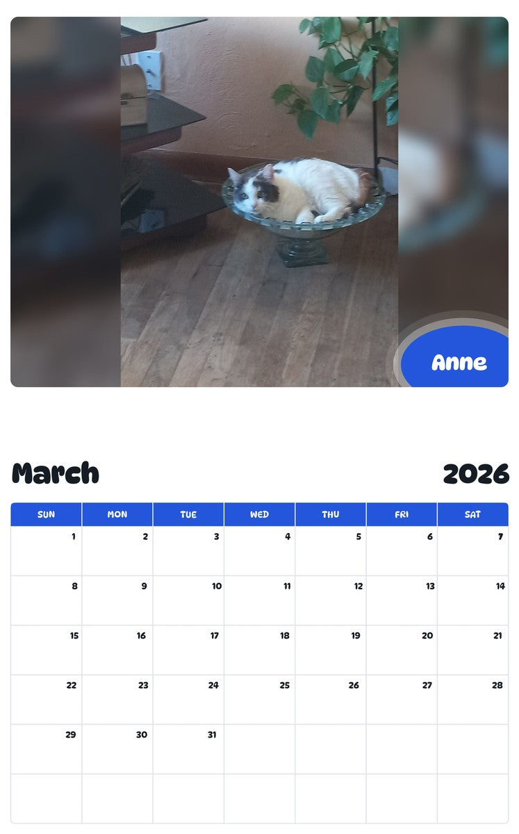 November 2025 - October 2026 Anne - Pawidols Pet Calendar