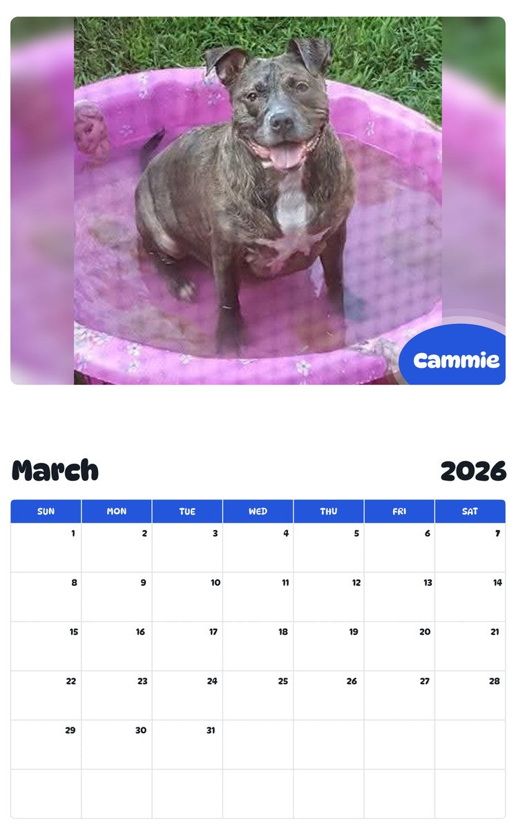 November 2025 - October 2026 Cammie - Pawidols Pet Calendar
