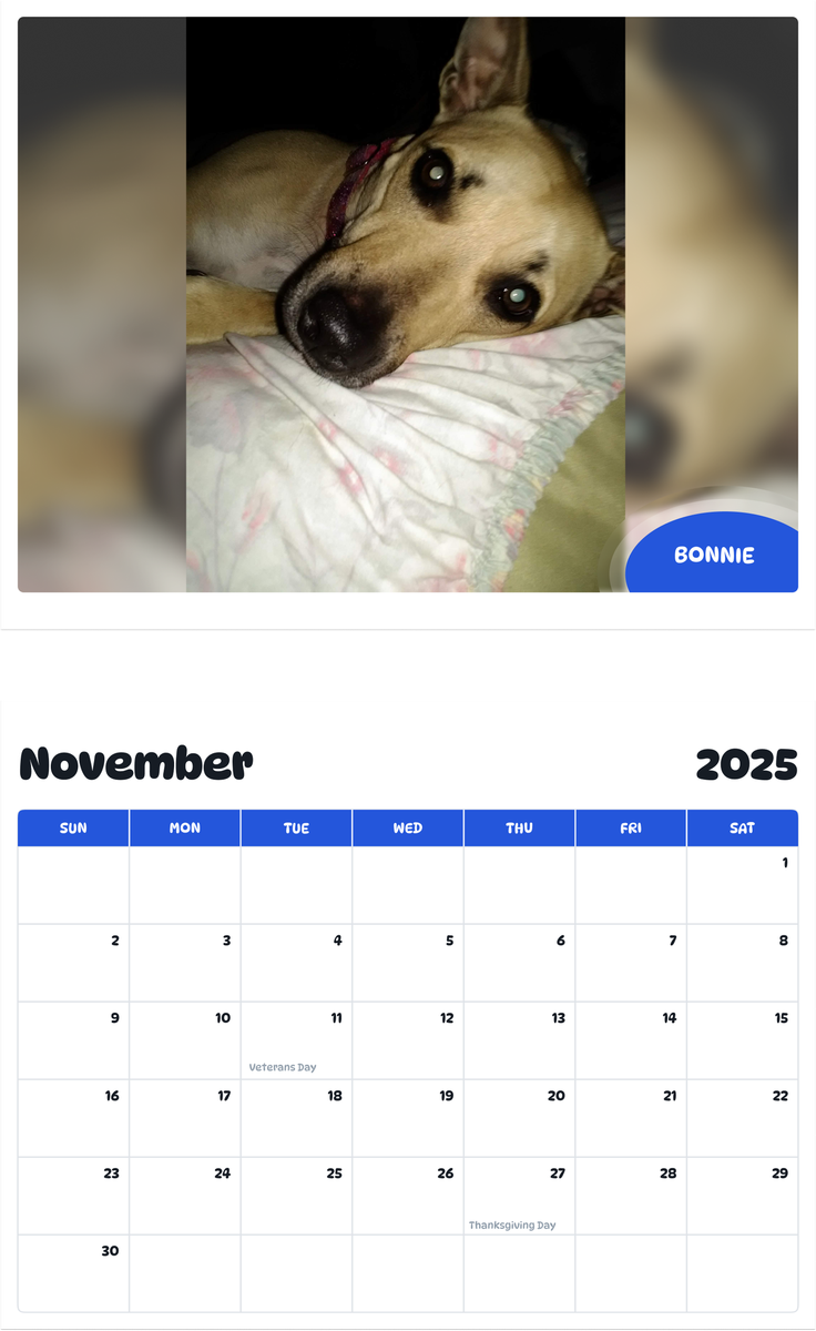 July 2025 - June 2026 Bonnie - Pawidols Pet Calendar