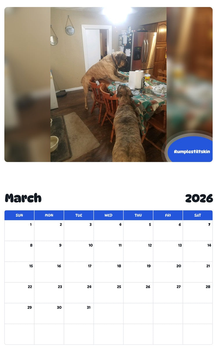 November 2025 - October 2026 Rumplestiltskin - Pawidols Pet Calendar