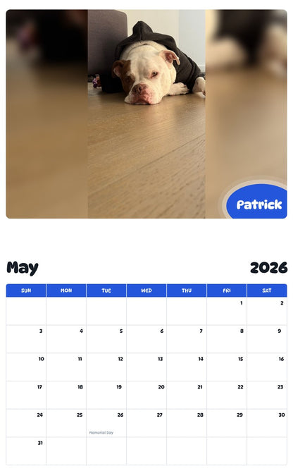 2026 - 2027 Patrick - Pawidols Pet Calendar