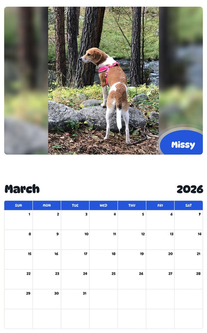 November 2025 - October 2026 Missy - Pawidols Pet Calendar