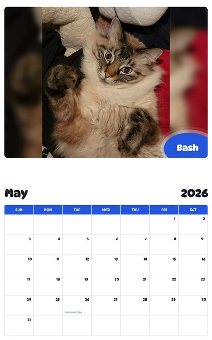 2026 - 2027 Bash - Pawidols Pet Calendar