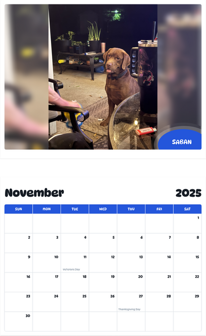 July 2025 - June 2026 Saban - Pawidols Pet Calendar
