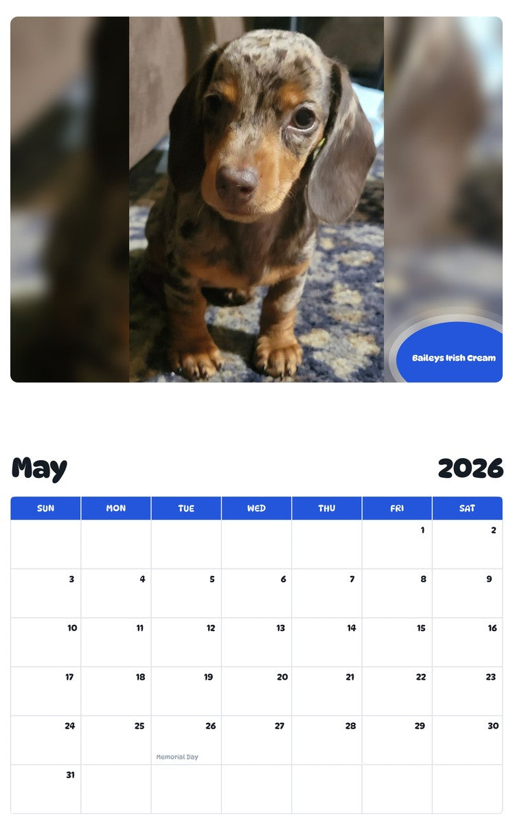 2026 - 2027 Baileys Irish Cream - Pawidols Pet Calendar