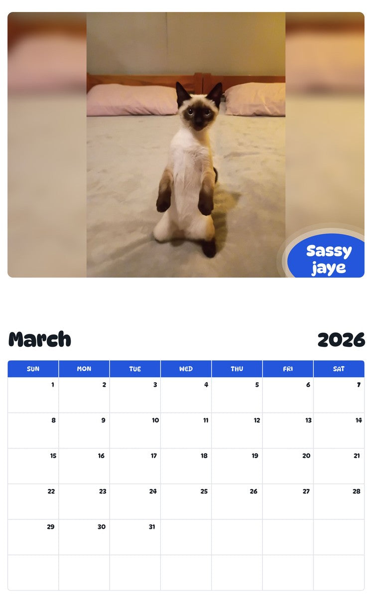November 2025 - October 2026 Sassy jaye - Pawidols Pet Calendar