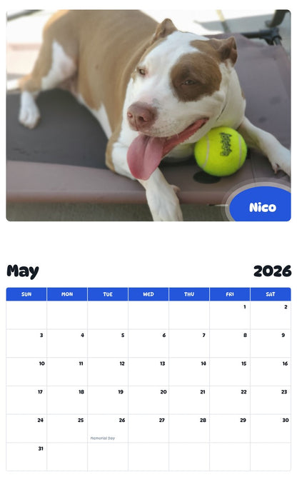2026 - 2027 Nico - Pawidols Pet Calendar