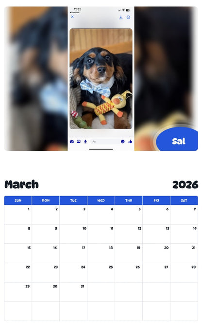 November 2025 - October 2026 Sal - Pawidols Pet Calendar