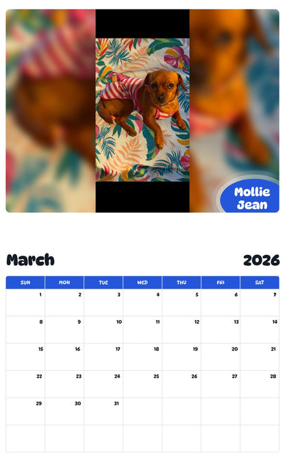 November 2025 - October 2026 Mollie Jean - Pawidols Pet Calendar