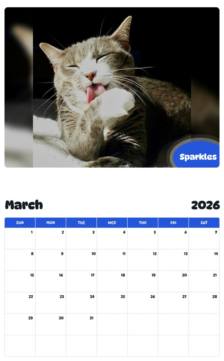 November 2025 - October 2026 Sparkles - Pawidols Pet Calendar