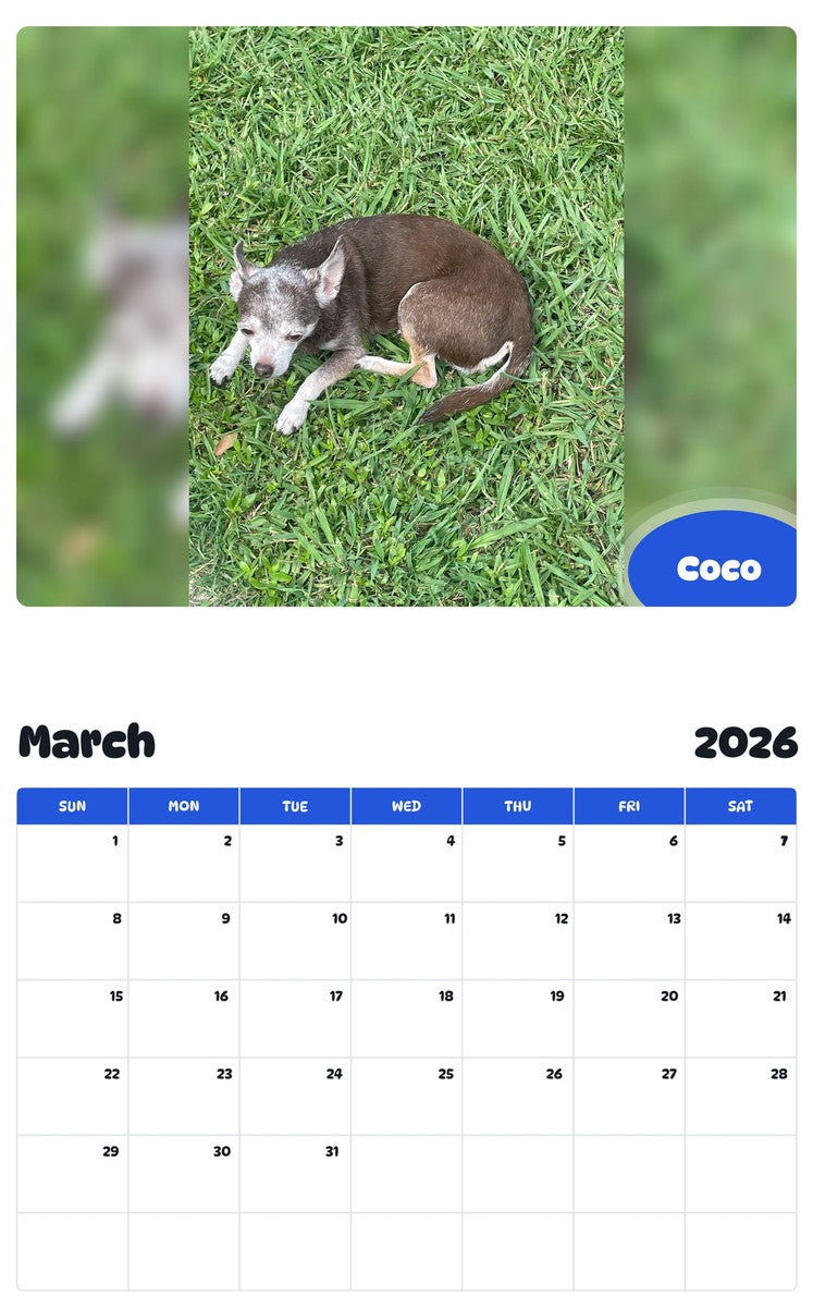 November 2025 - October 2026 Coco - Pawidols Pet Calendar
