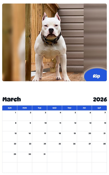 November 2025 - October 2026 Rip - Pawidols Pet Calendar