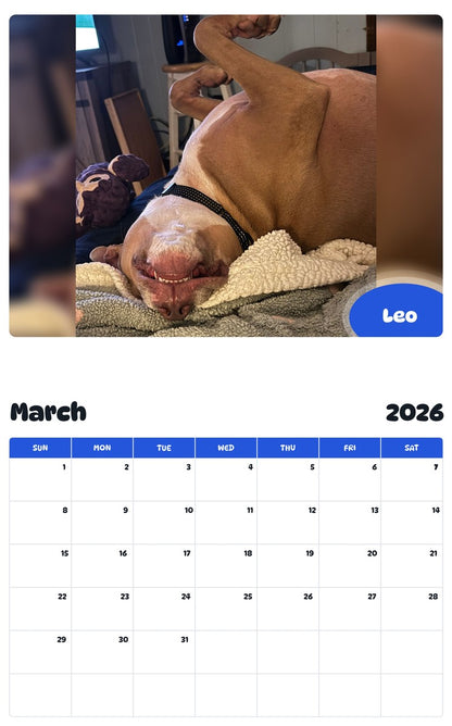 November 2025 - October 2026 Leo - Pawidols Pet Calendar