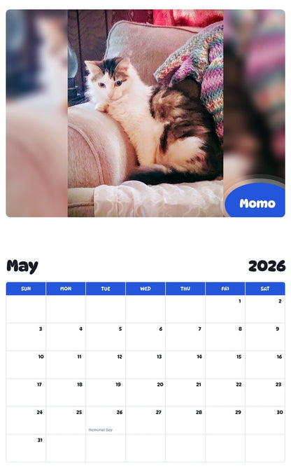 2026 - 2027 Momo - Pawidols Pet Calendar